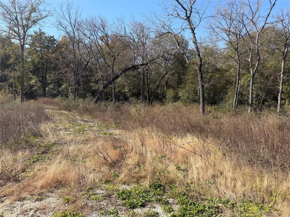 34 Cr 389 Jewett, TX 75846