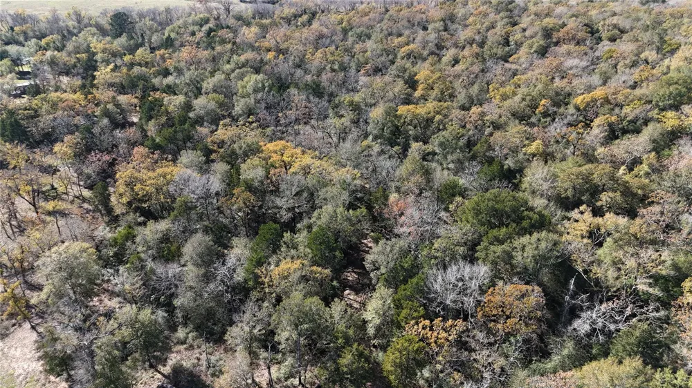 34 Cr 389 Jewett, TX 75846
