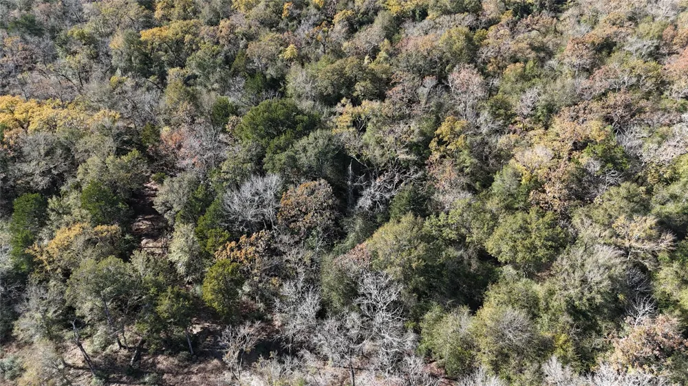 34 Cr 389 Jewett, TX 75846