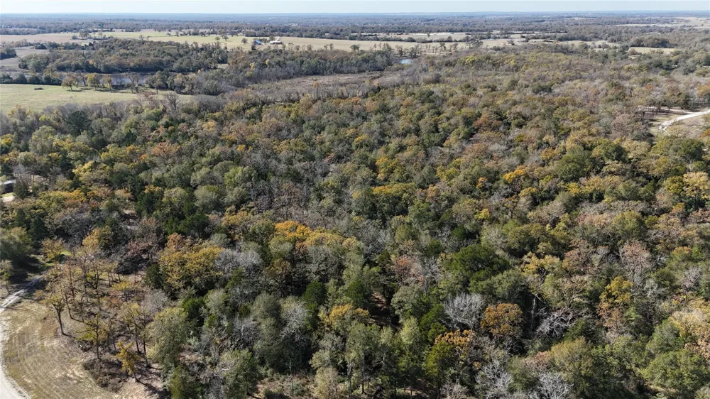 34 Cr 389 Jewett, TX 75846
