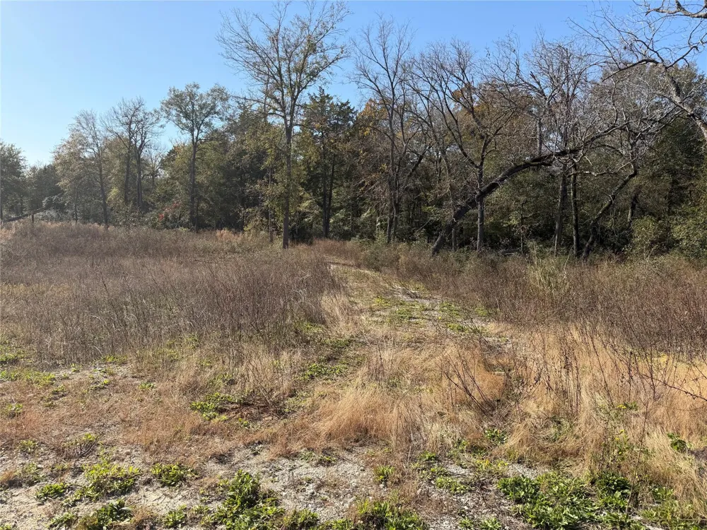 34 Cr 389 Jewett, TX 75846