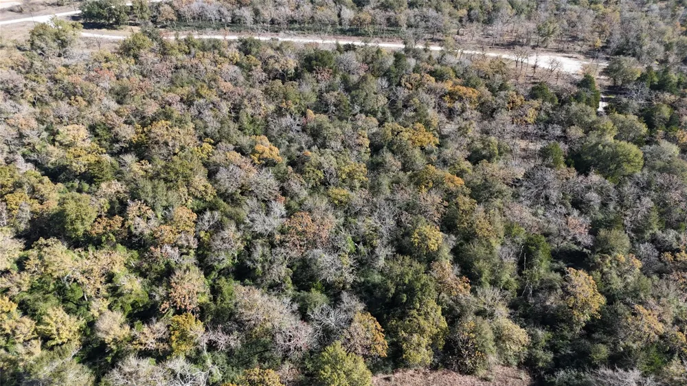 34 Cr 389 Jewett, TX 75846