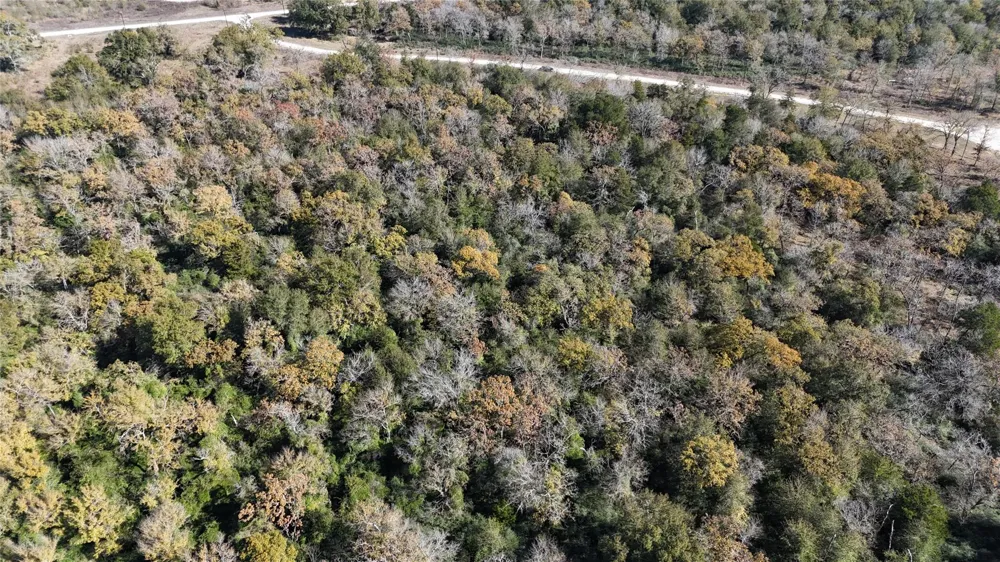 34 Cr 389 Jewett, TX 75846