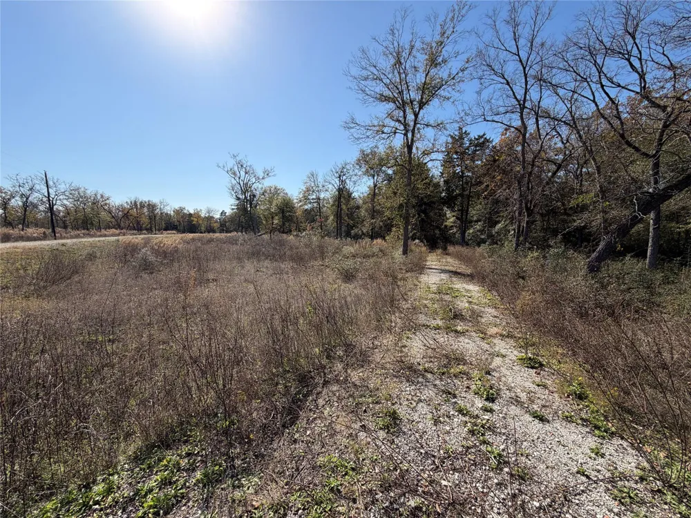 34 Cr 389 Jewett, TX 75846