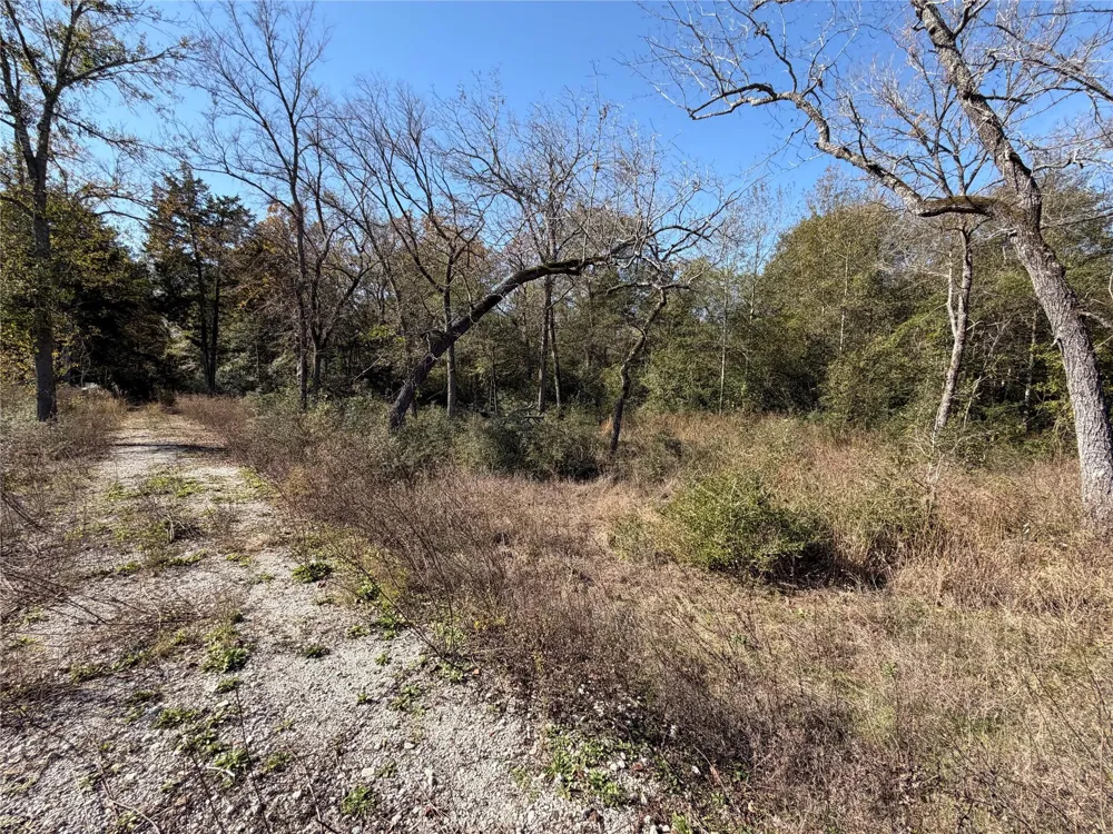 34 Cr 389 Jewett, TX 75846