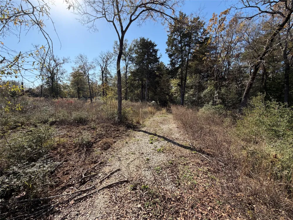 34 Cr 389 Jewett, TX 75846