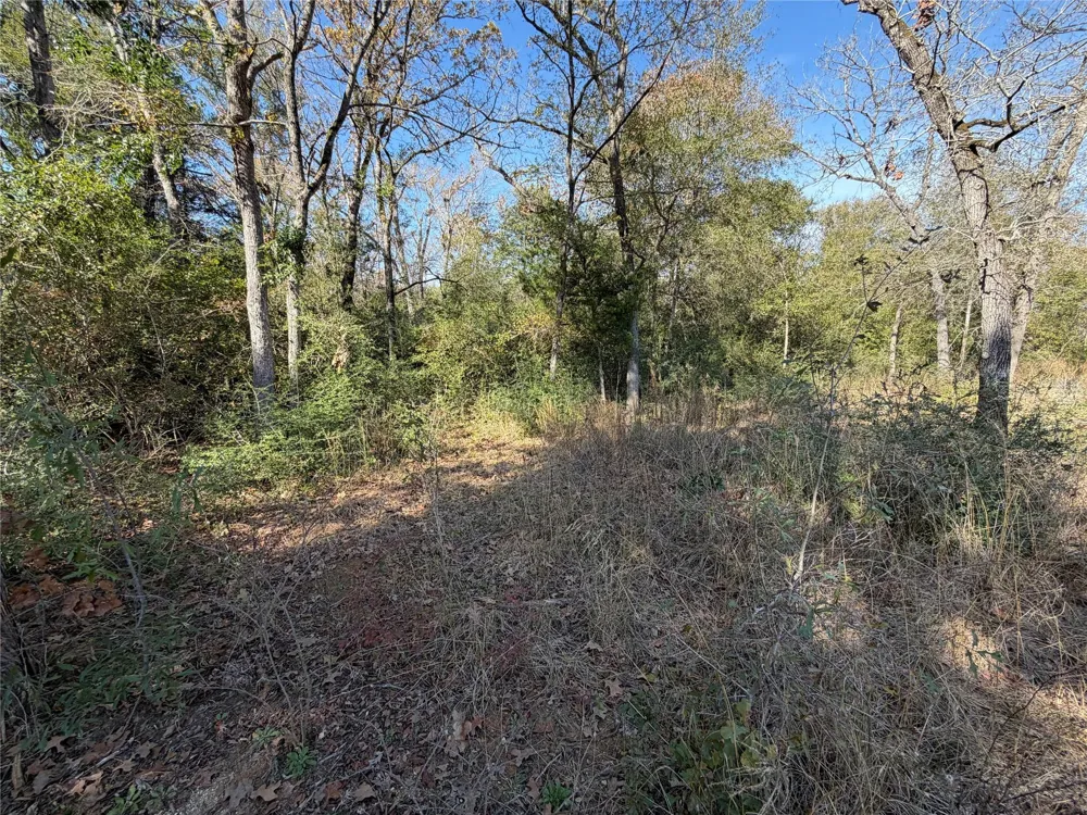 34 Cr 389 Jewett, TX 75846