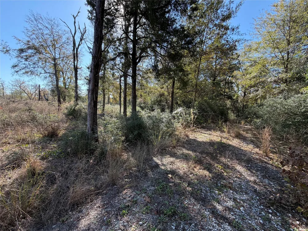 34 Cr 389 Jewett, TX 75846