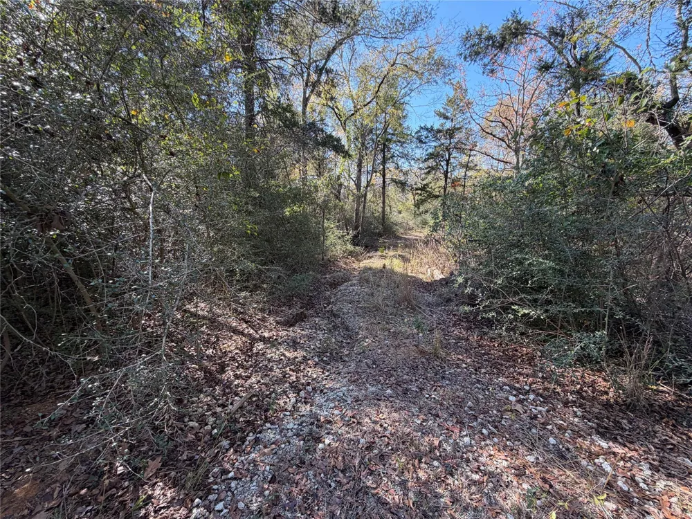 34 Cr 389 Jewett, TX 75846