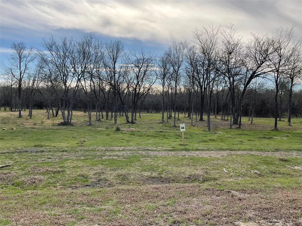 The Landings on Richland Chambers Lot 40 Richland, TX 76681