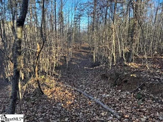 Lakeside Drive Six Mile, SC 29682