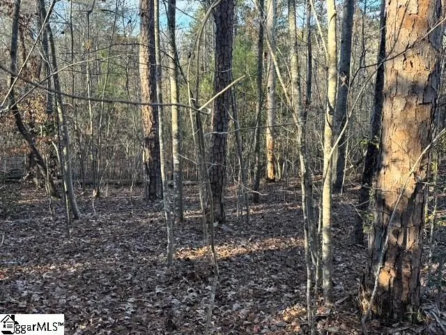 Lakeside Drive Six Mile, SC 29682