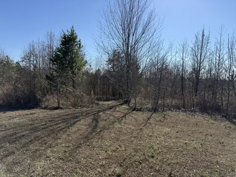 Castle Hill Dr