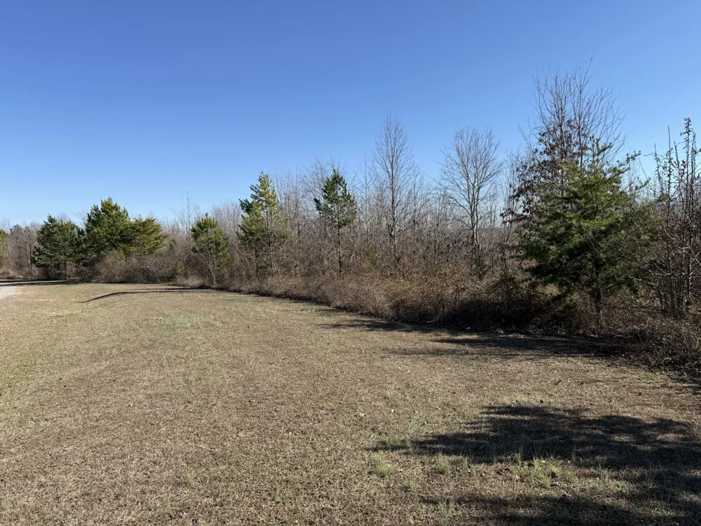 Castle Hill Dr Bryant, AL 35958