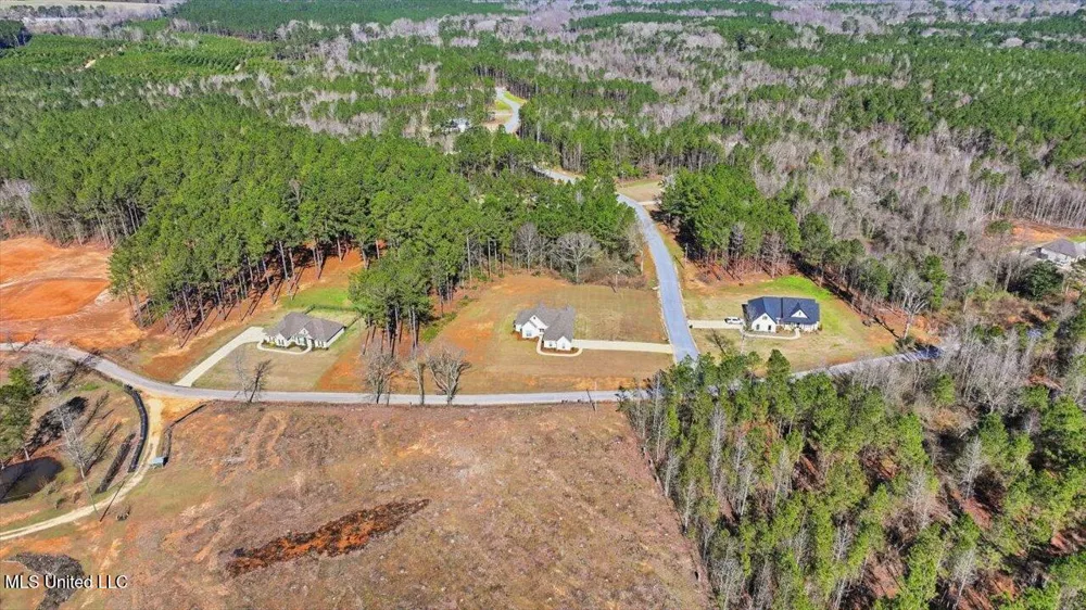 119 Ashwood Lane Mendenhall, MS 39114