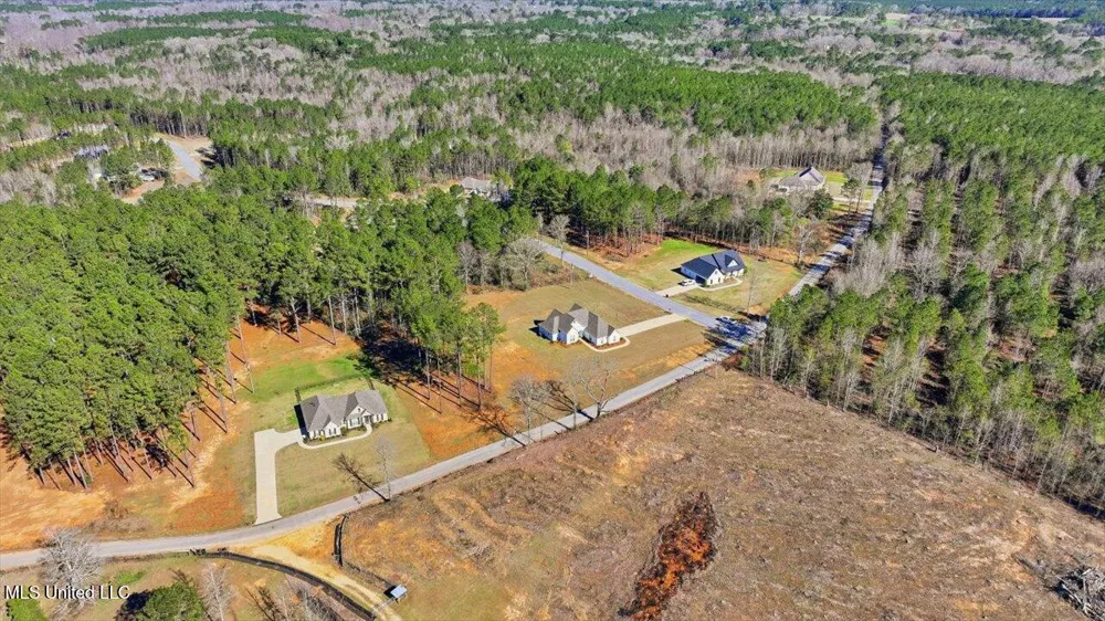 119 Ashwood Lane Mendenhall, MS 39114