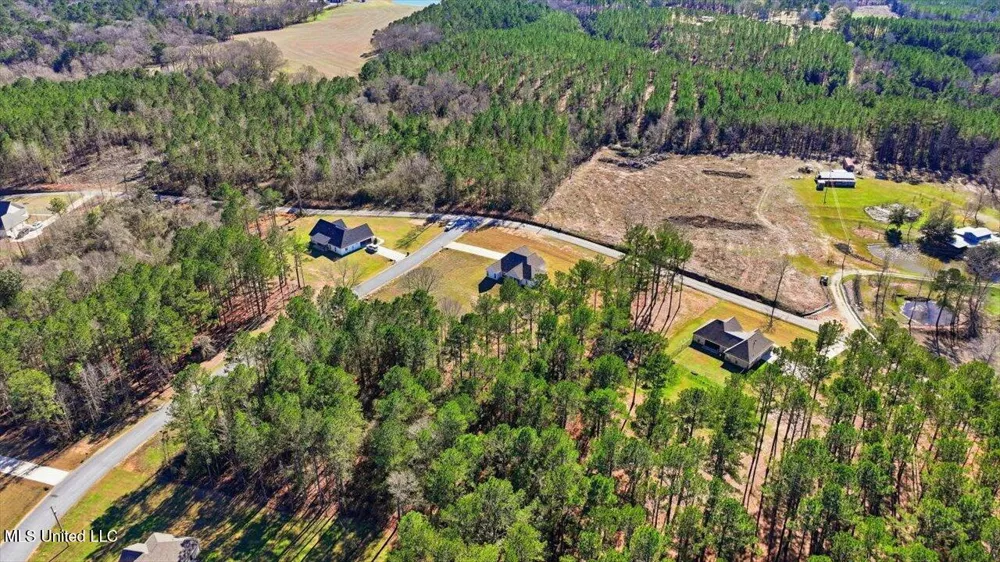119 Ashwood Lane Mendenhall, MS 39114