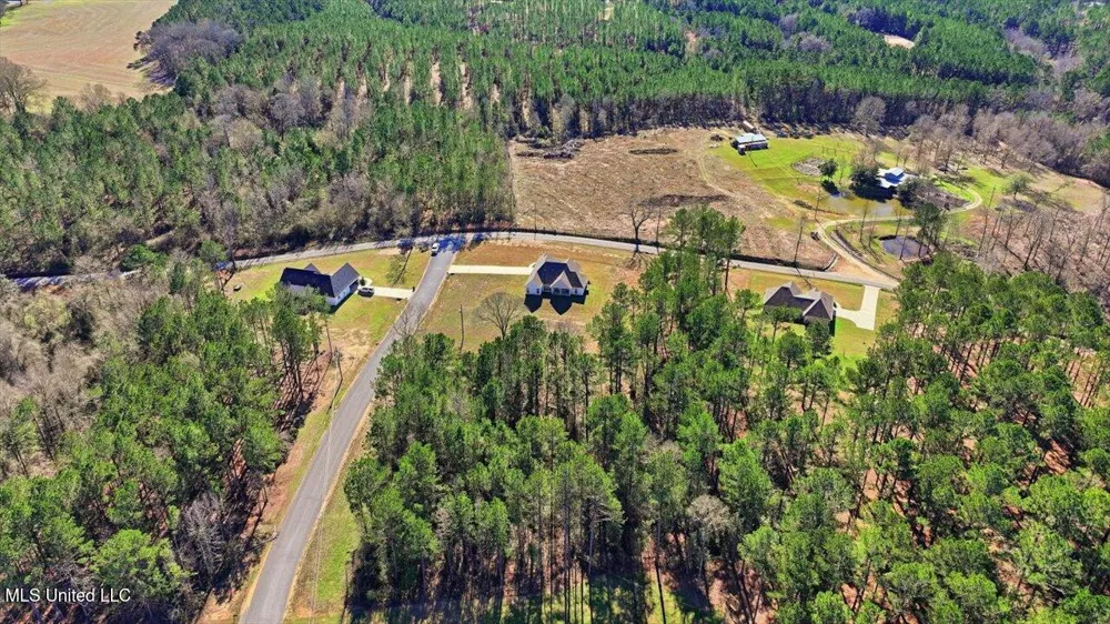 119 Ashwood Lane Mendenhall, MS 39114
