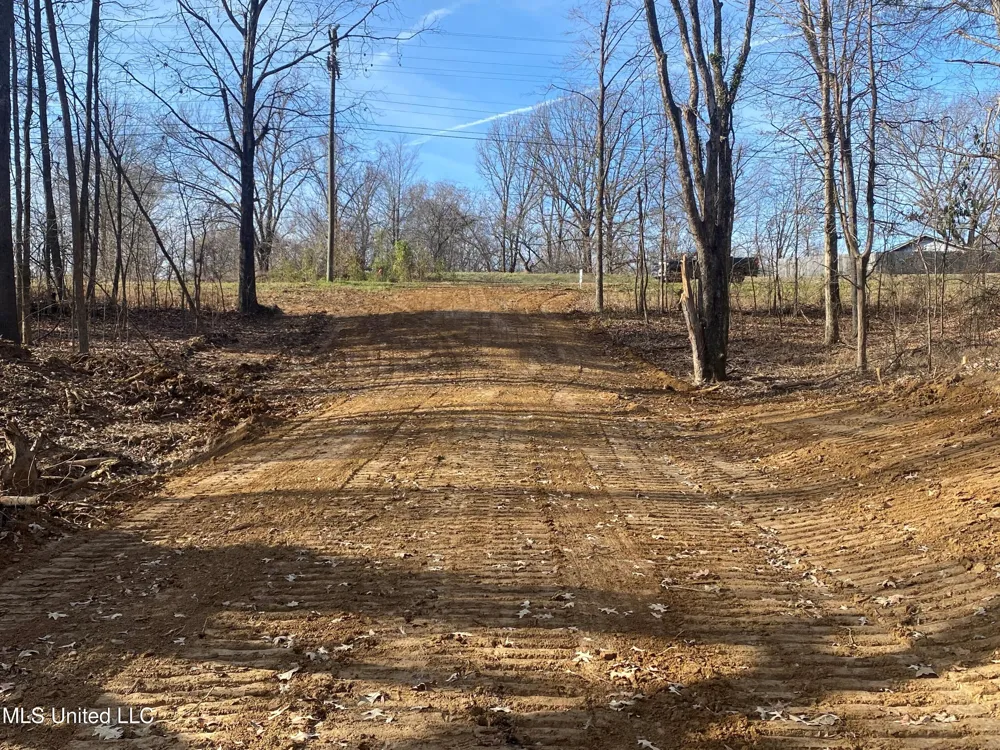 Brownsferry Rd Road Sarah, MS 38665