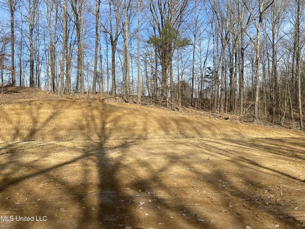 Brownsferry Rd Road Sarah, MS 38665
