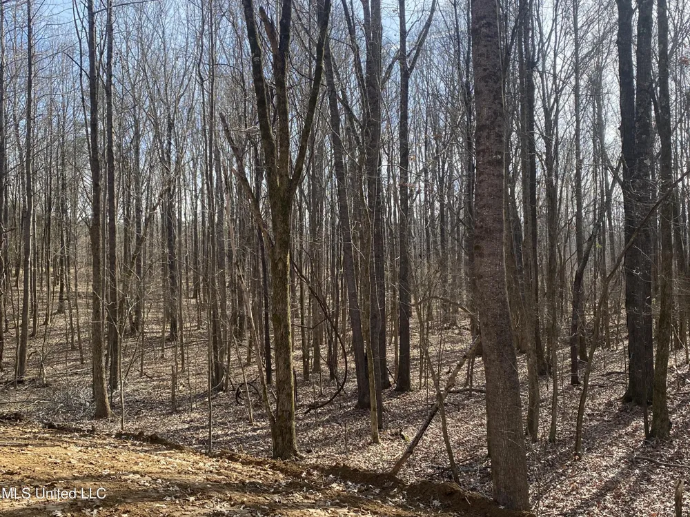 Brownsferry Rd Road Sarah, MS 38665