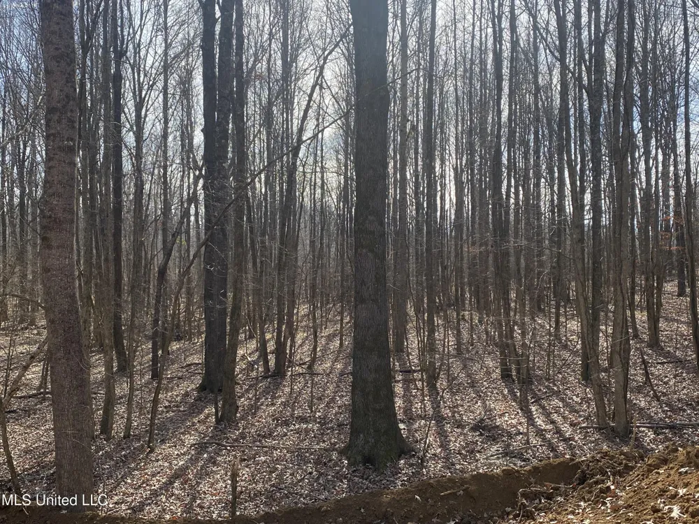 Brownsferry Rd Road Sarah, MS 38665