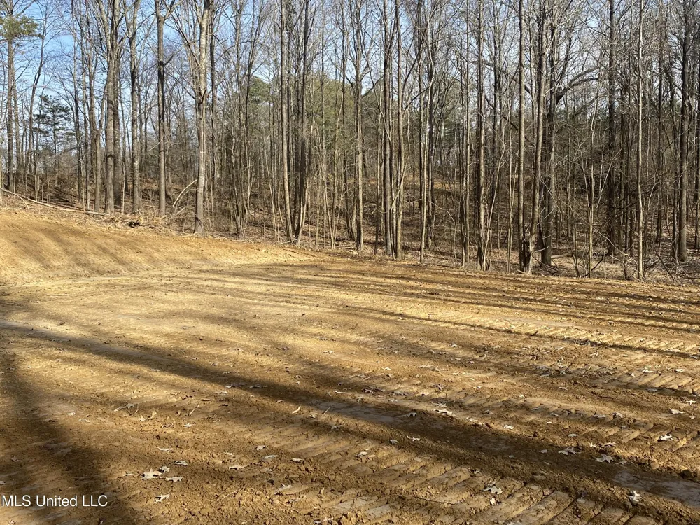 Brownsferry Rd Road Sarah, MS 38665