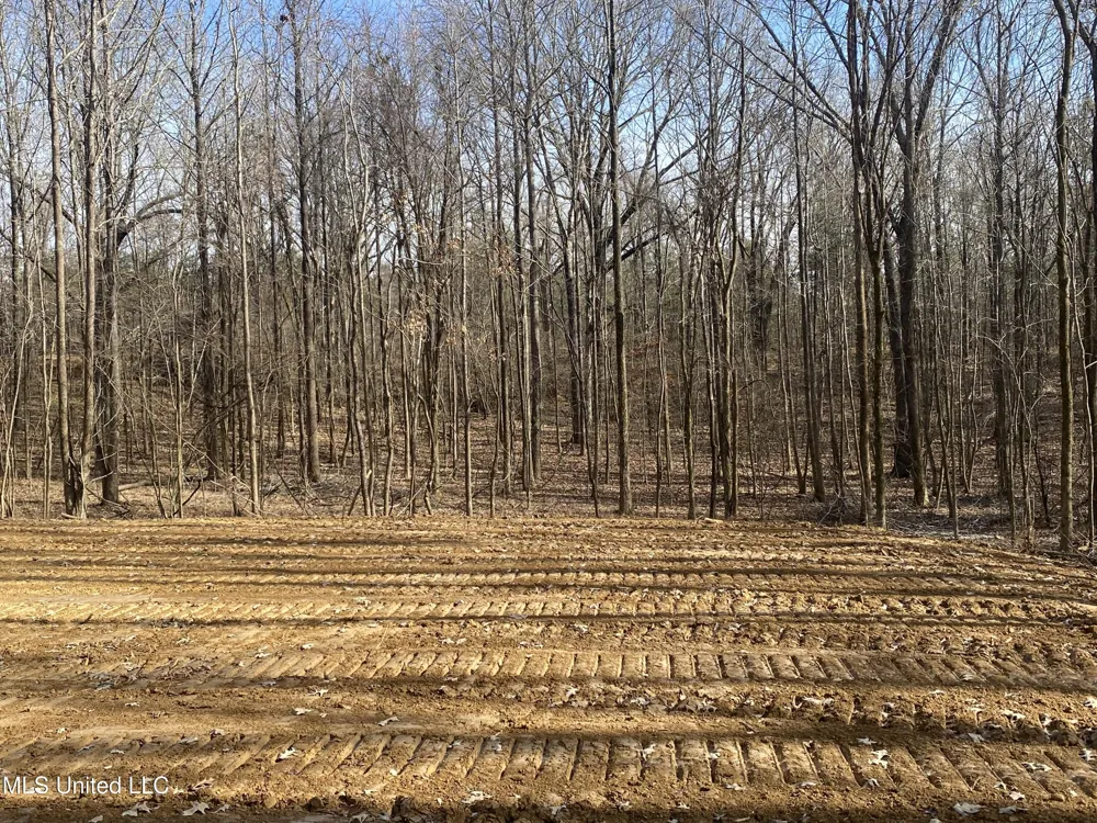 Brownsferry Rd Road Sarah, MS 38665