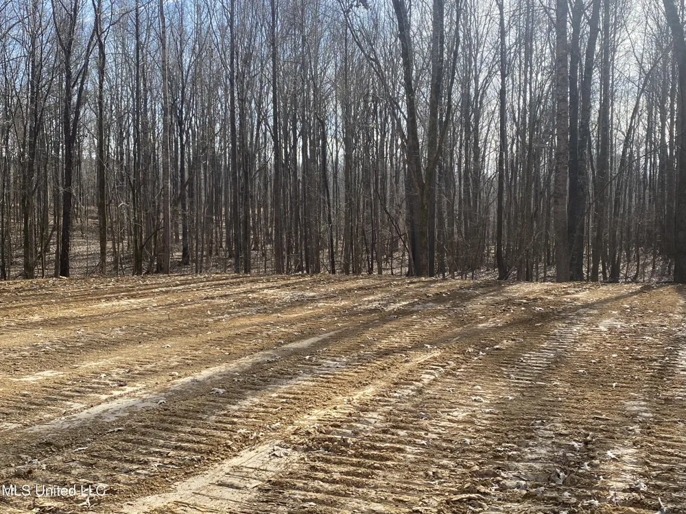 Brownsferry Rd Road Sarah, MS 38665