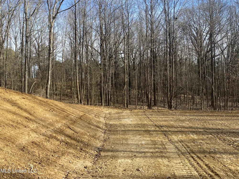 Brownsferry Rd Road Sarah, MS 38665