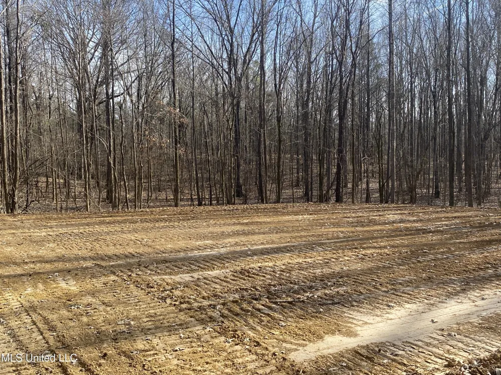 Brownsferry Rd Road Sarah, MS 38665