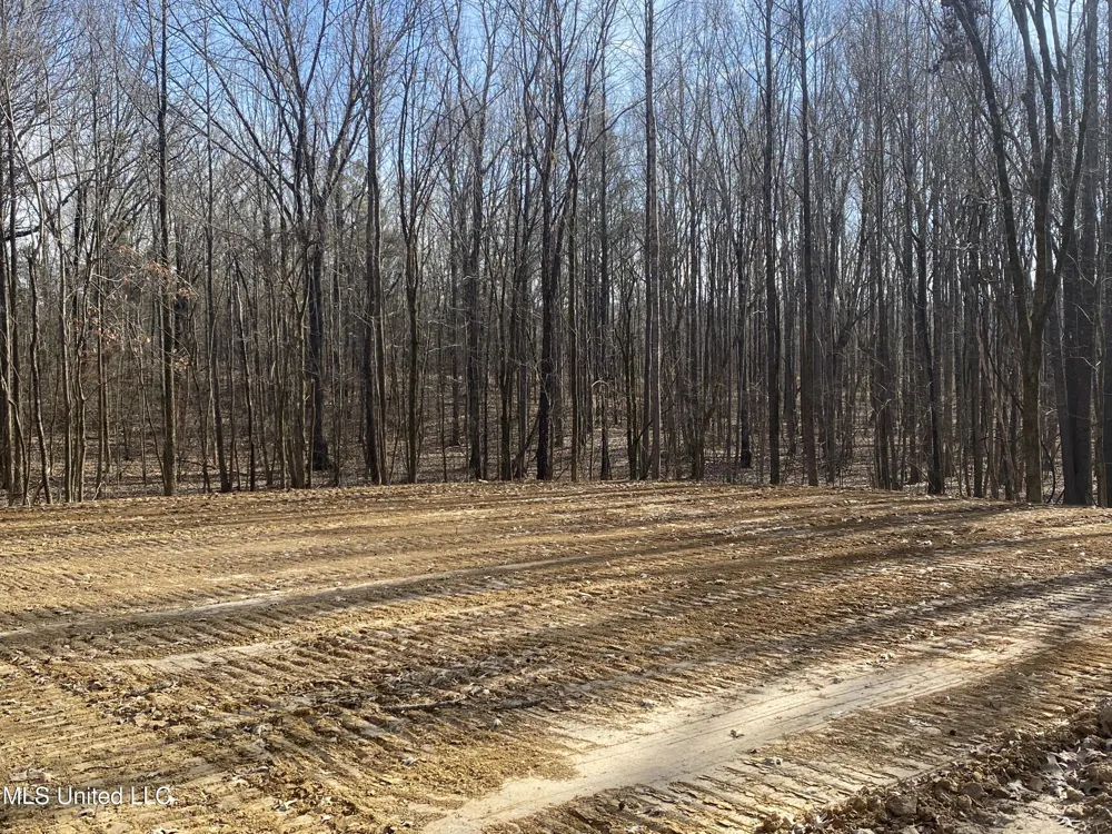Brownsferry Rd Road Sarah, MS 38665
