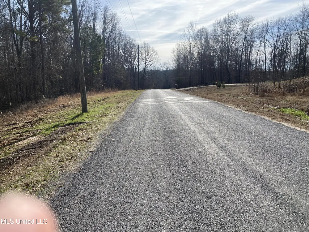 Brownsferry Rd Road Sarah, MS 38665