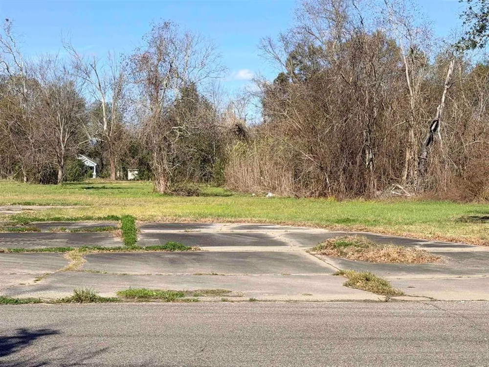 1606 W Park Avenue Orange, TX 77630