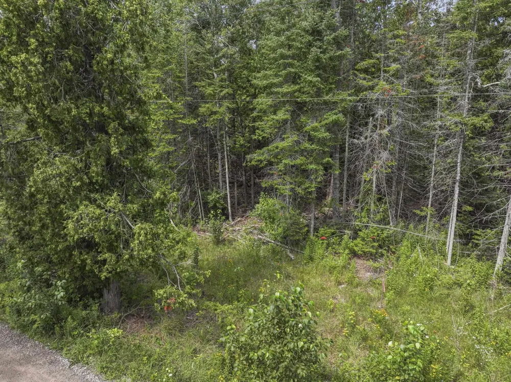 14935 Cathead Bay Drive Leelanau Township, MI 49670