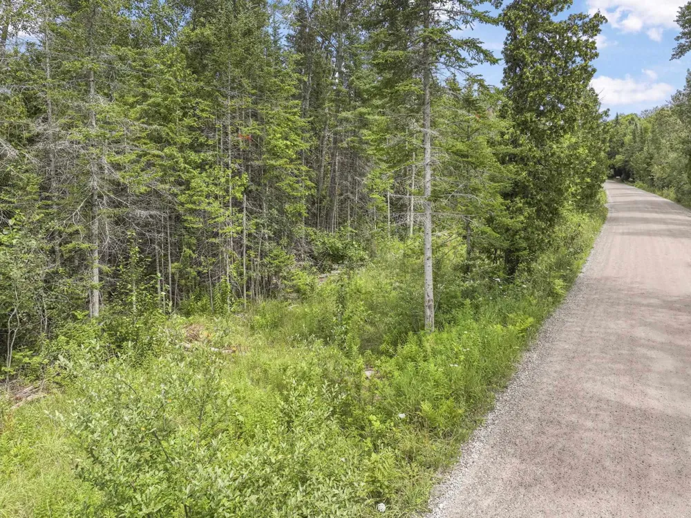 14935 Cathead Bay Drive Leelanau Township, MI 49670