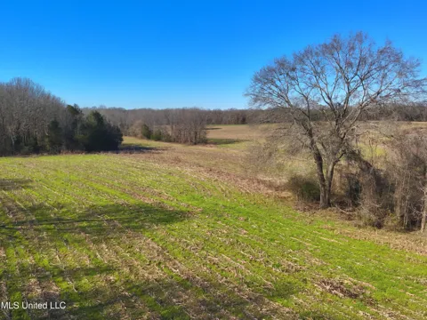 579 Black Jack Road