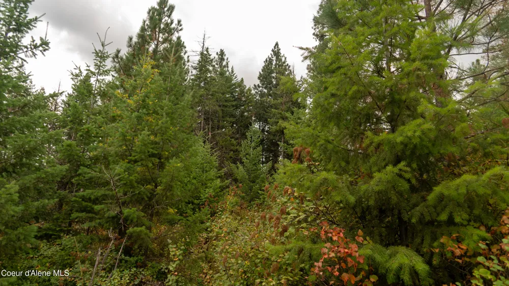 0 Loper Lane Desmet, ID 83824