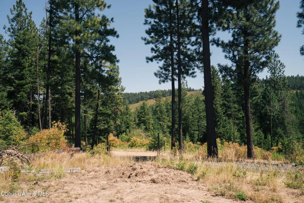 0 Loper Lane Desmet, ID 83824