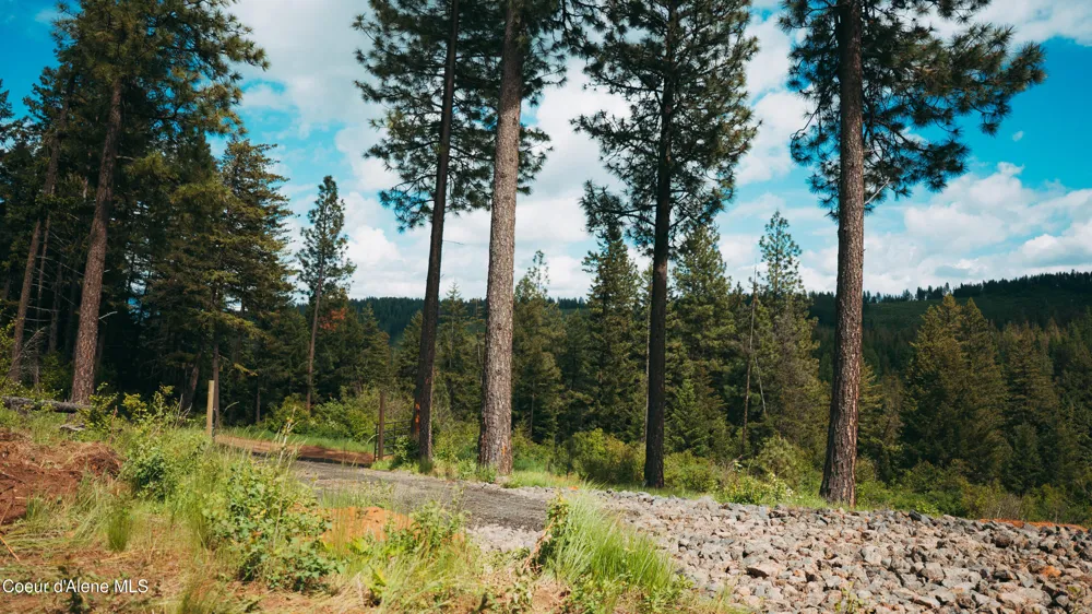 0 Loper Lane Desmet, ID 83824