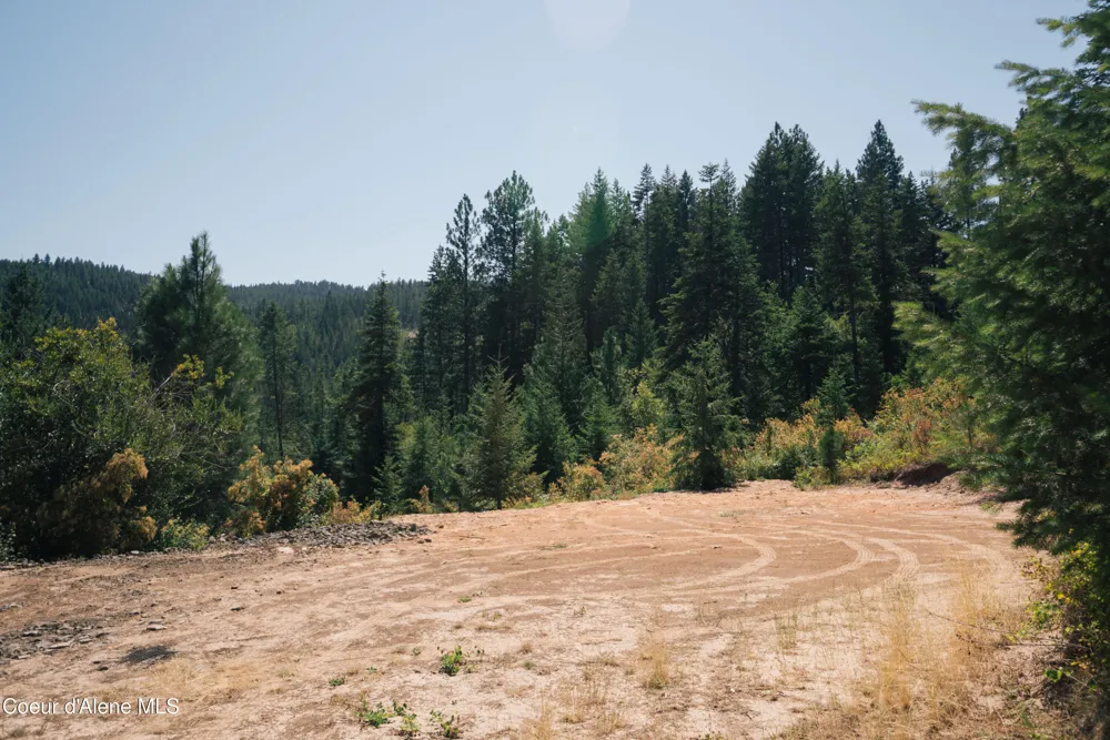 0 Loper Lane Desmet, ID 83824