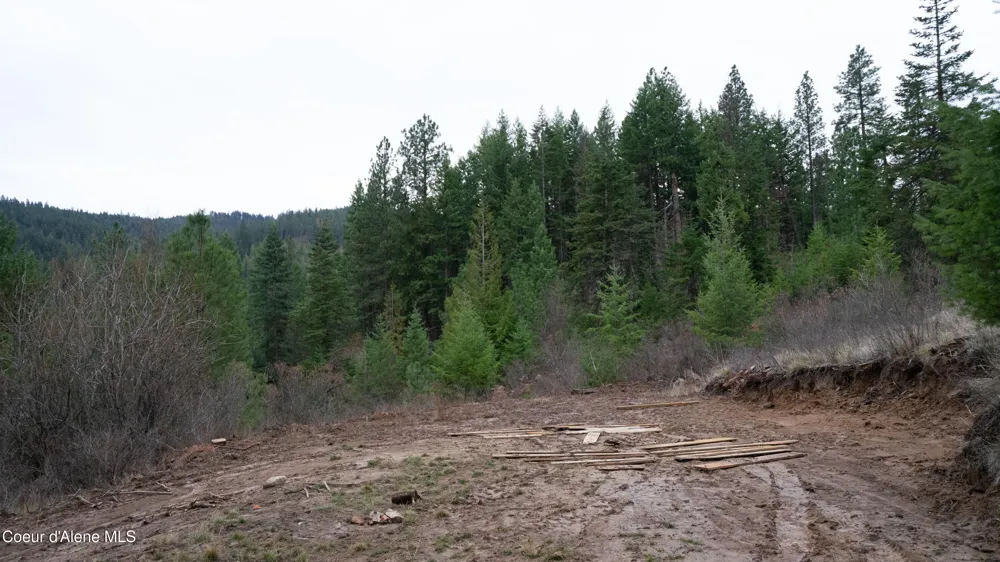0 Loper Lane Desmet, ID 83824