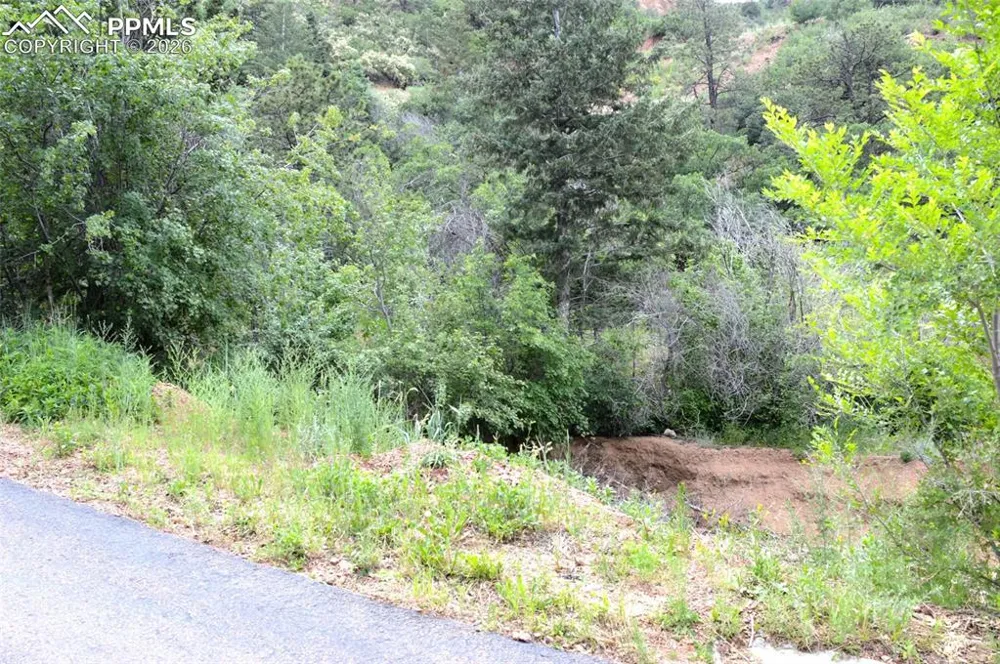 1096 Laguna Point Manitou Springs, CO 80829