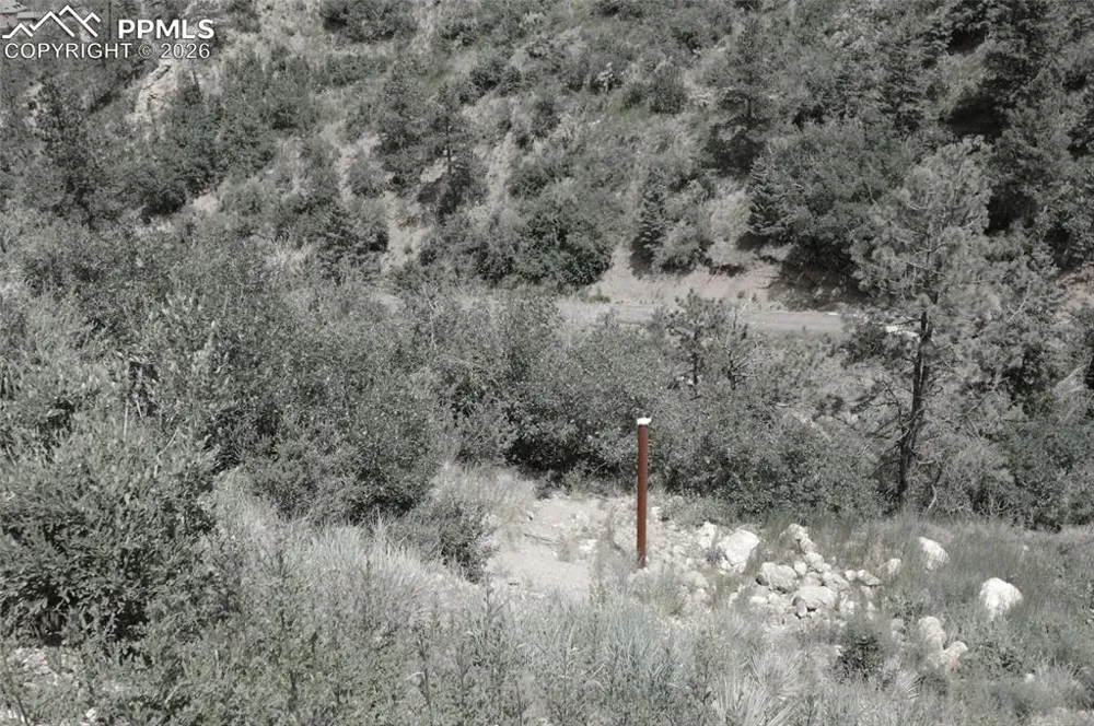 1096 Laguna Point Manitou Springs, CO 80829