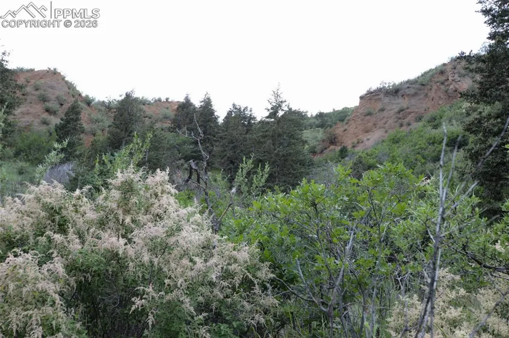 1096 Laguna Point Manitou Springs, CO 80829