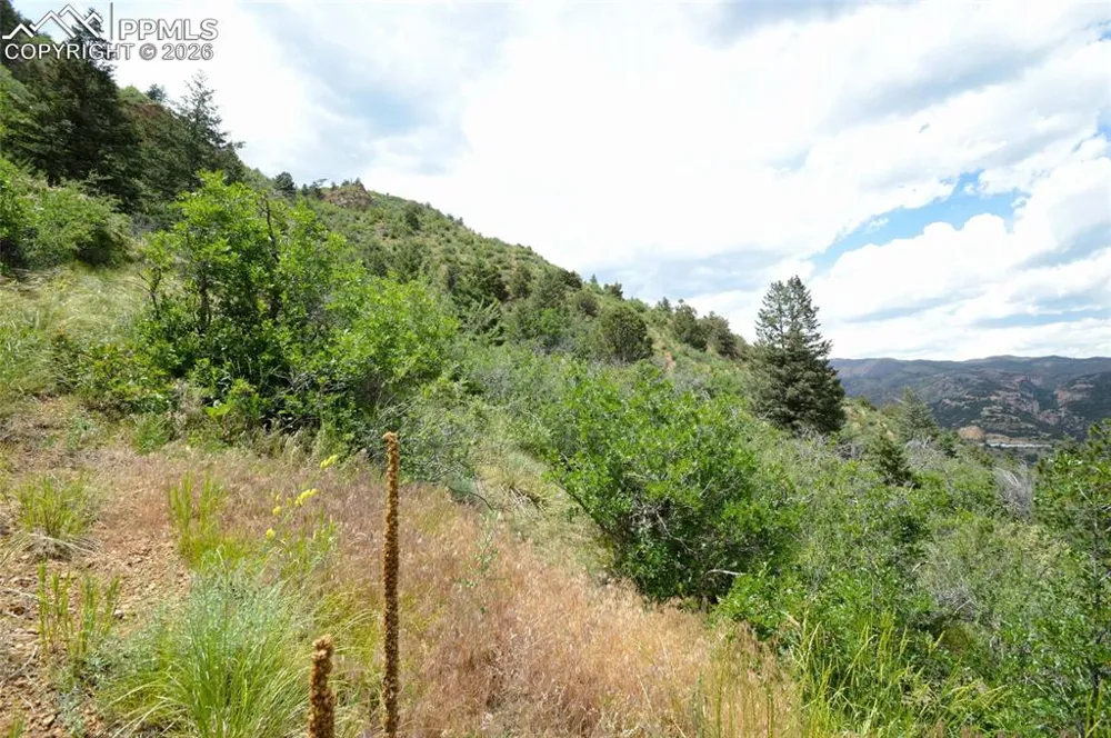 1096 Laguna Point Manitou Springs, CO 80829