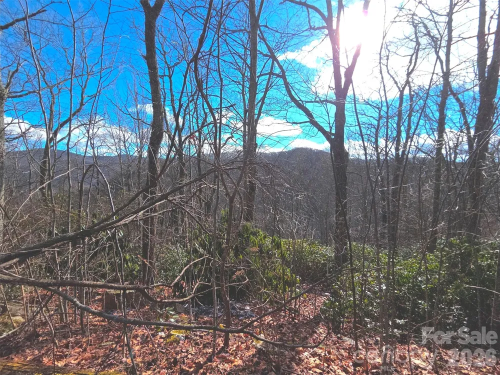 550 Sky Drive #12A Maggie Valley, NC 28751