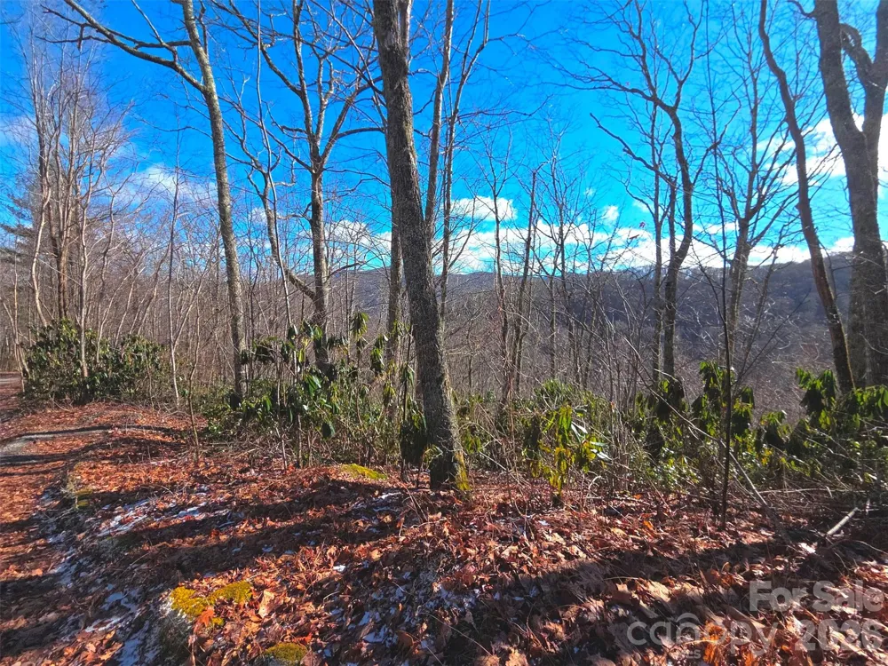 550 Sky Drive #12A Maggie Valley, NC 28751