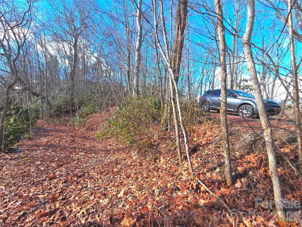 550 Sky Drive #12A Maggie Valley, NC 28751