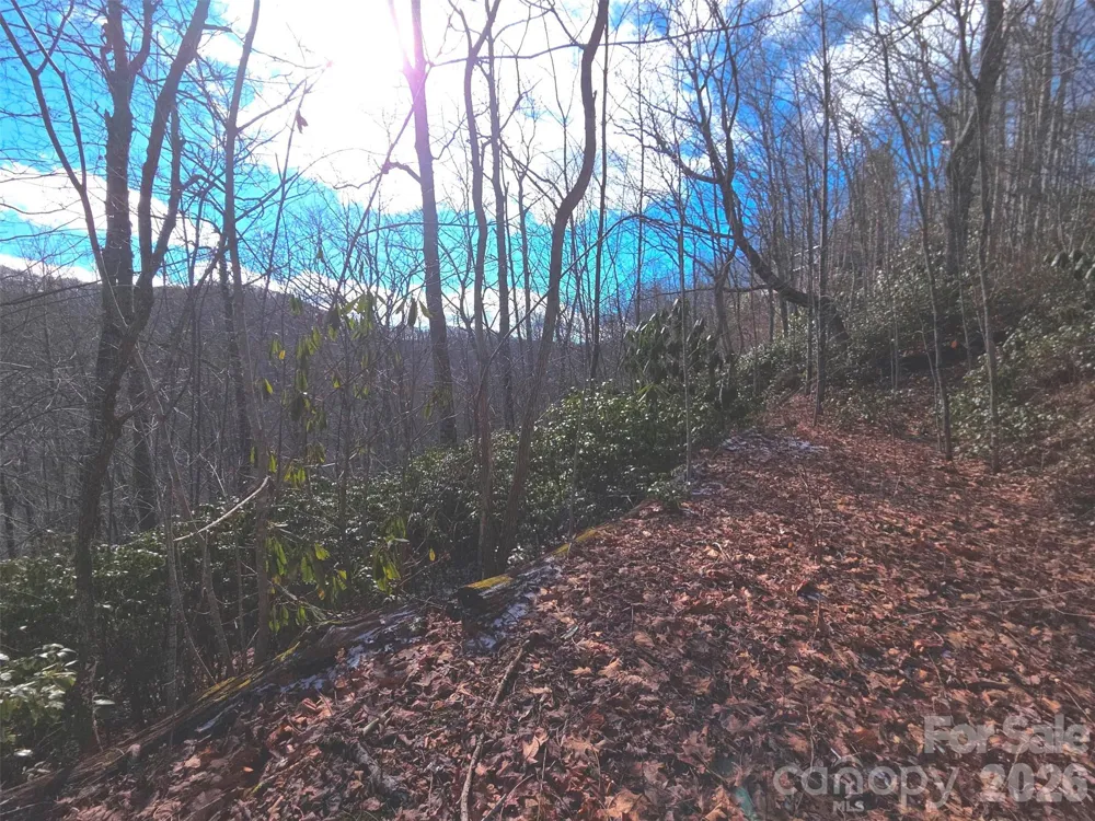550 Sky Drive #12A Maggie Valley, NC 28751